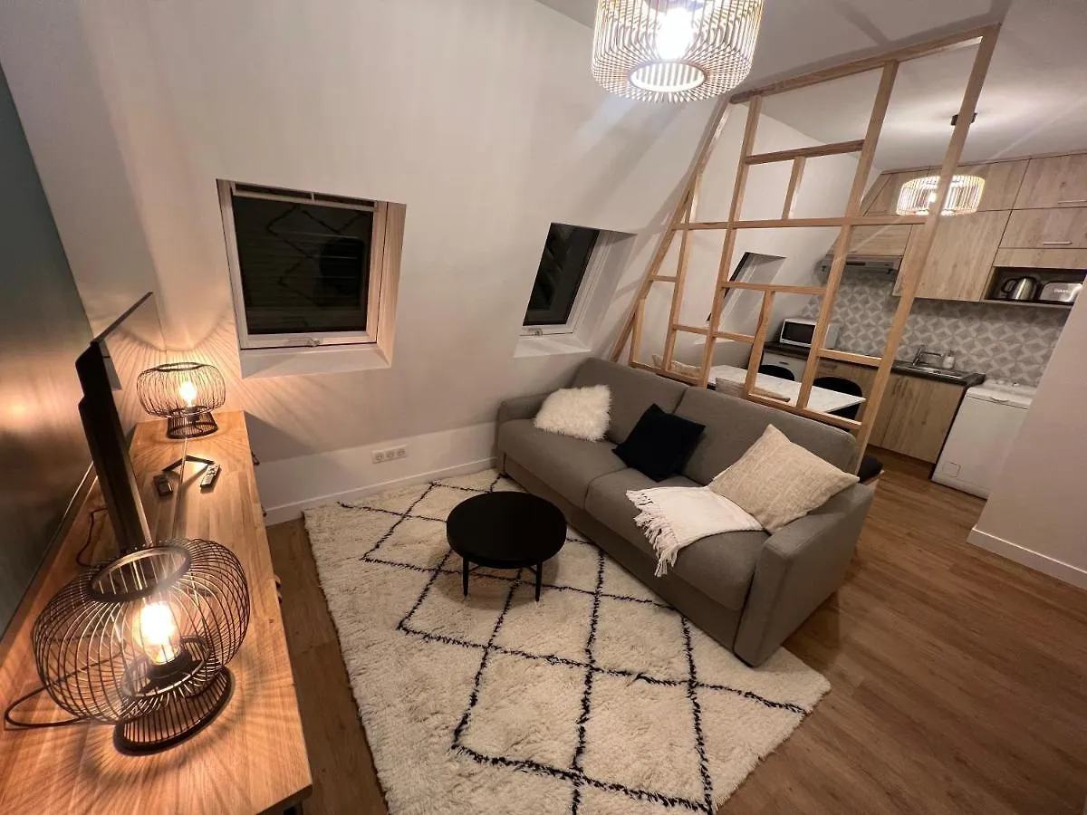 Rooms With Fabulous View On Paris Roofs